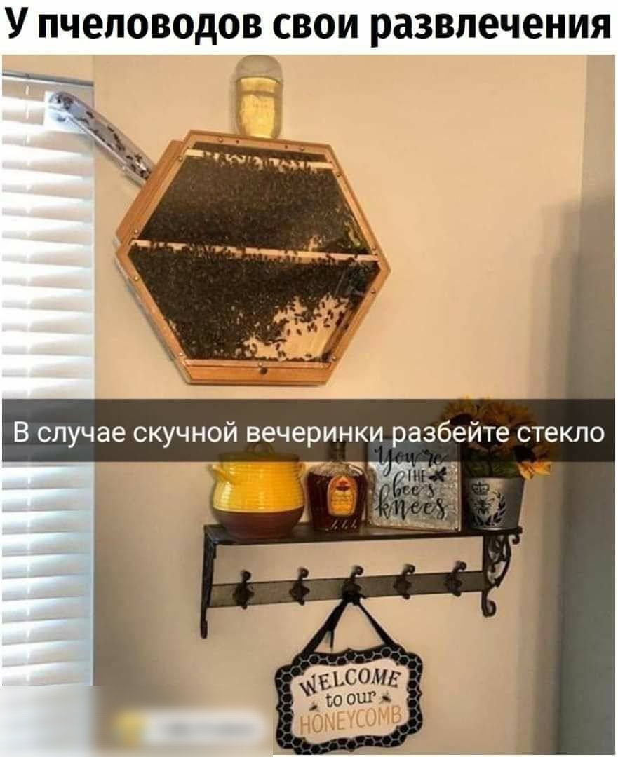У ПЧЕЛОВОДОВ СВОИ развлечения