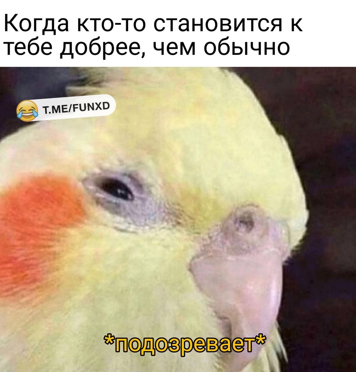 Когда кто то становится к тебе добрее чем обычно ТМЕРЦМХВ