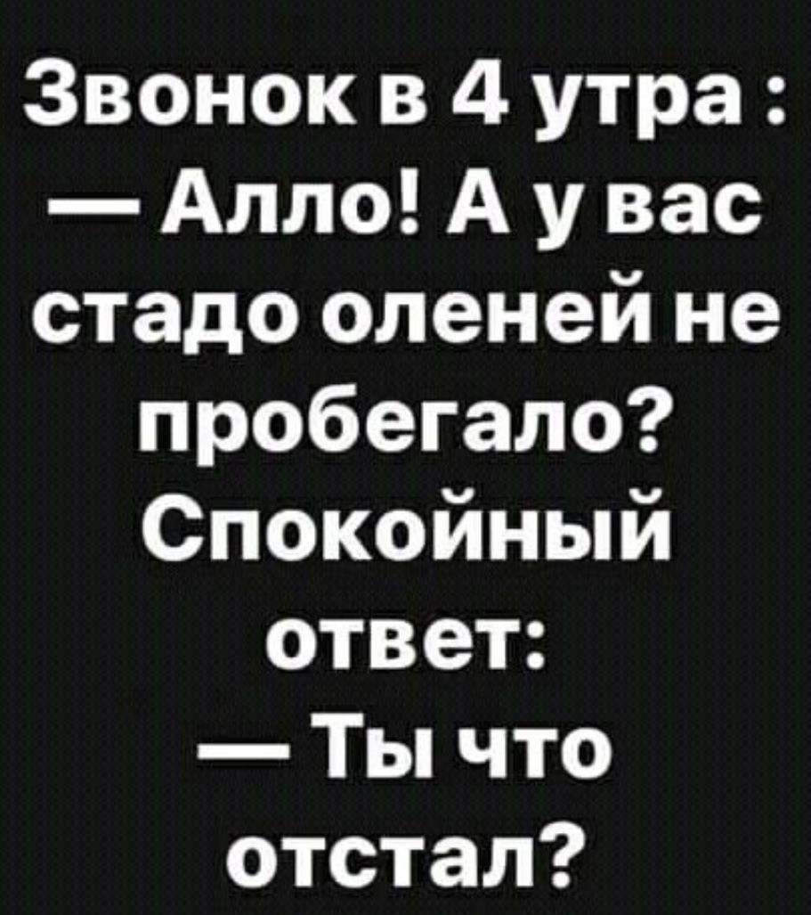 Звонок в 4 утра Алло А у вас стадо оленей не пробегало Спокойный ответ Ты  что отстал - выпуск №887019