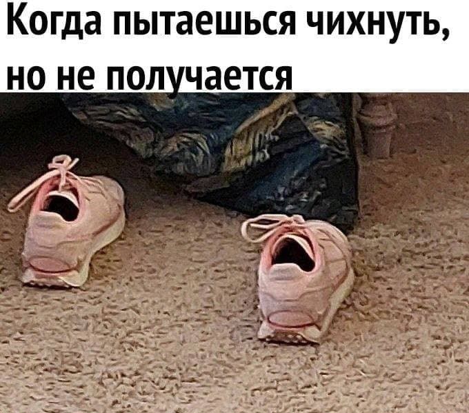 когда ПЫТЗЕШЬСЯ ЧИХНУТЬ НО не под чается