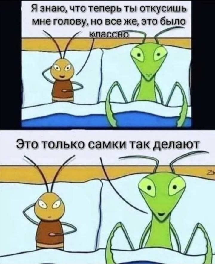 Я знаю ЧТО Теперь ТЫ ОТКУСИШЬ мне ГОЛОВУ НО все же ЭТО бЫПО