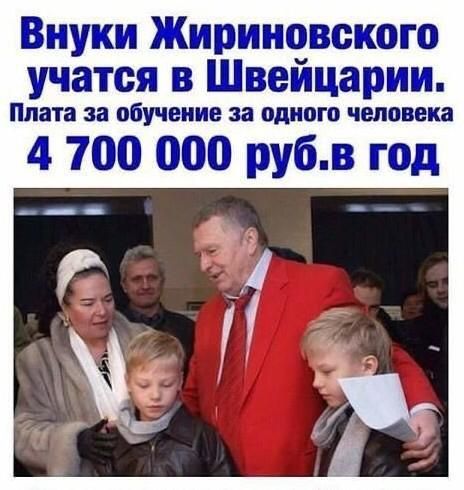 Внуки Жириновского учатся в Швейцарии Плата за обучение за одного человека 4 700 000 рубв год