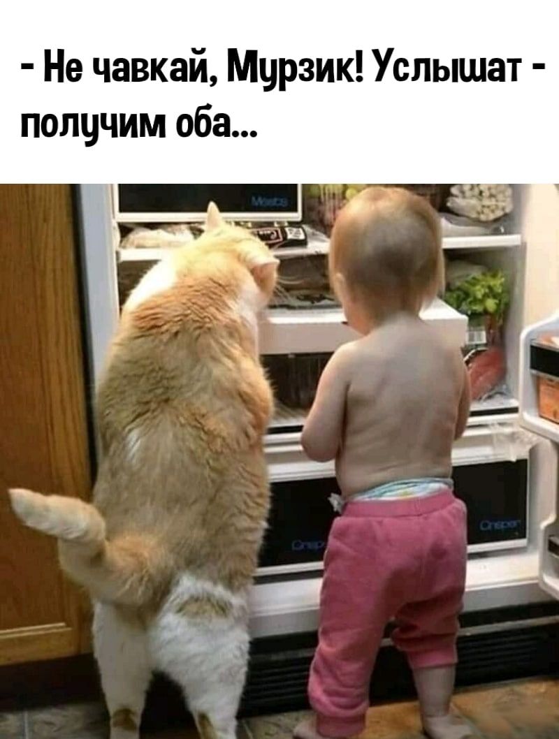 Не чавкай Мцрзик Услышат получим оба