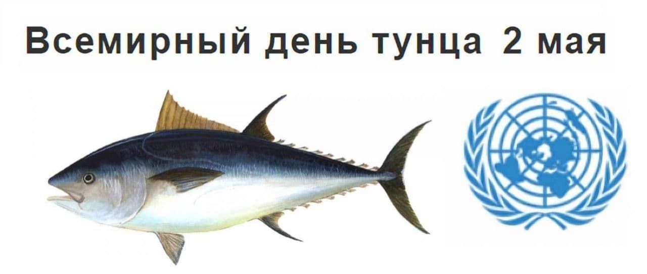 Всемирный день тунца 2 мая