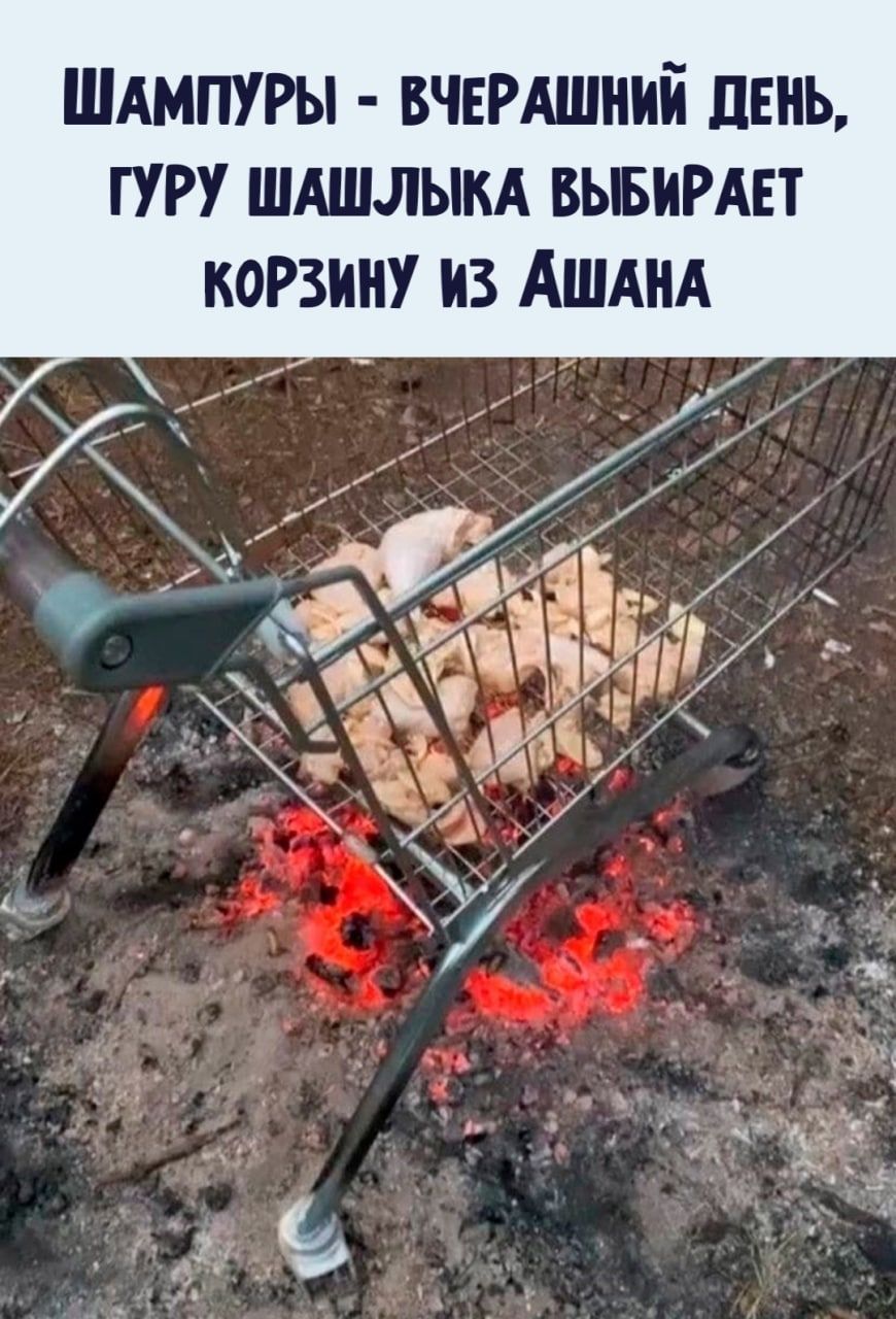 ШАМПУРЫ вчнгдшний пень гуру ШАШЛЫКА вывишт корзину из АШАНА