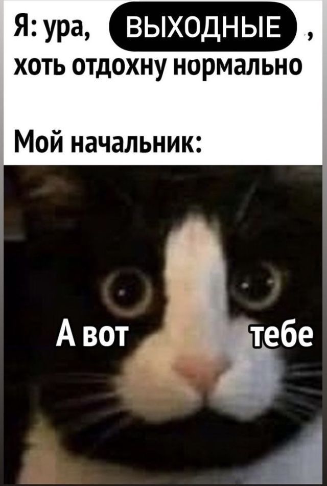 ХОТЬ ОТДОХНУ НОРМЗЛЬНО Мой начальник А вот тебе