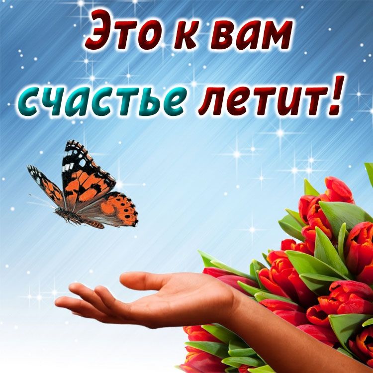 Это к вам счастье летит