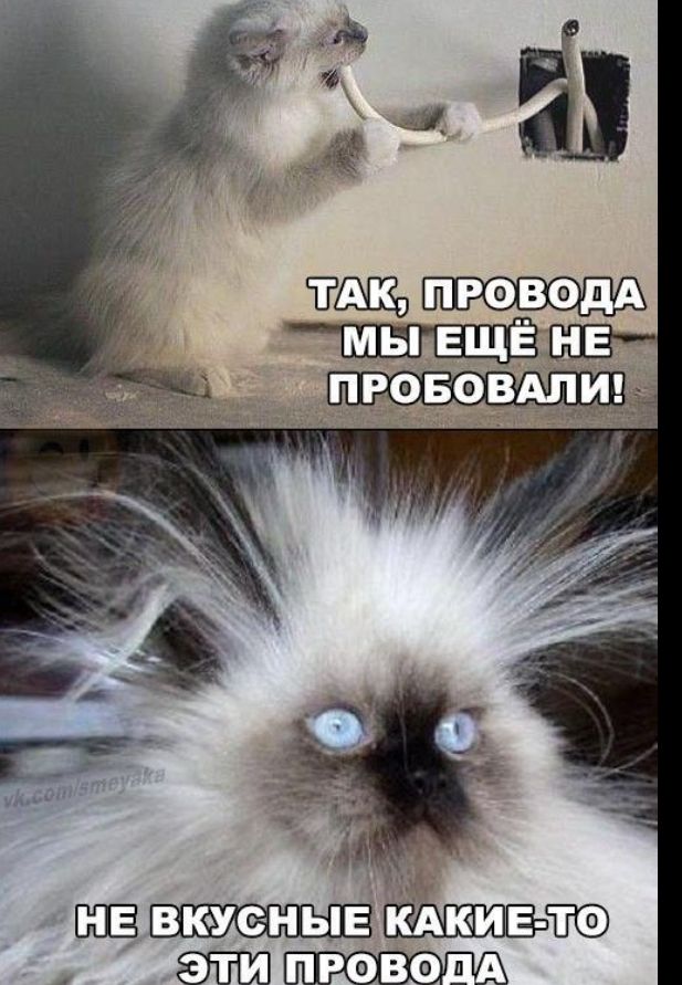 24 Ё ПРОВФДА не
