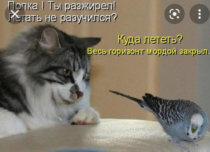 іЁМЕчатиатЁЭ 135 гГШЭЭДйЯ тат