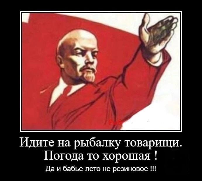 Идите на рыбалку товарищи Погода то хорошая да и бабые лето не резиновое
