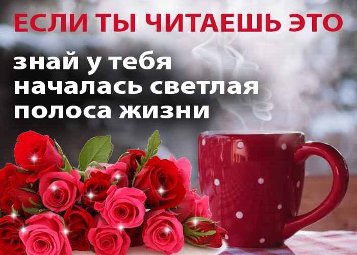 СПИ ТЫ ЧИТАЕШЬ ЭТО знаи у те началась свет полоса жизни