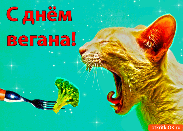 С днём вегана антишок