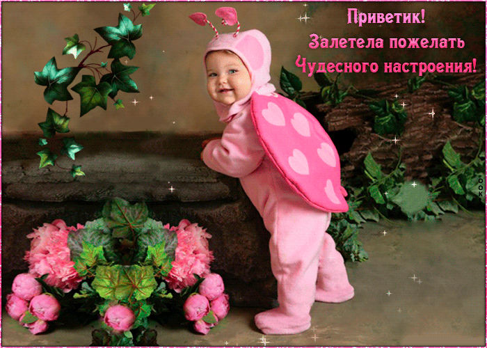 Пришли Винилы ножек ть Чушиогв настроения