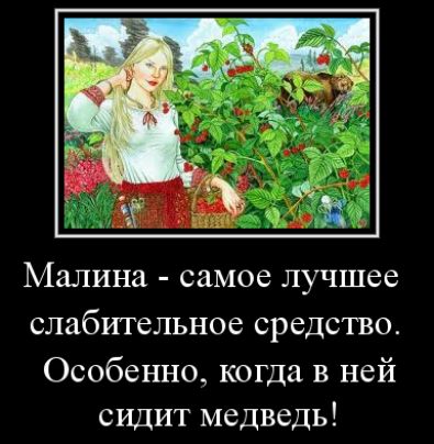 МЗЛИНЗ самое лучшее слабительное средство Особенно когда в ней сидит медведь