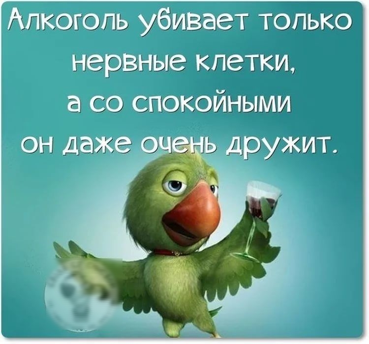 г ТОЛЬкКО рвные клетки а СО СПОКОЙНЫМИ Ь дружит