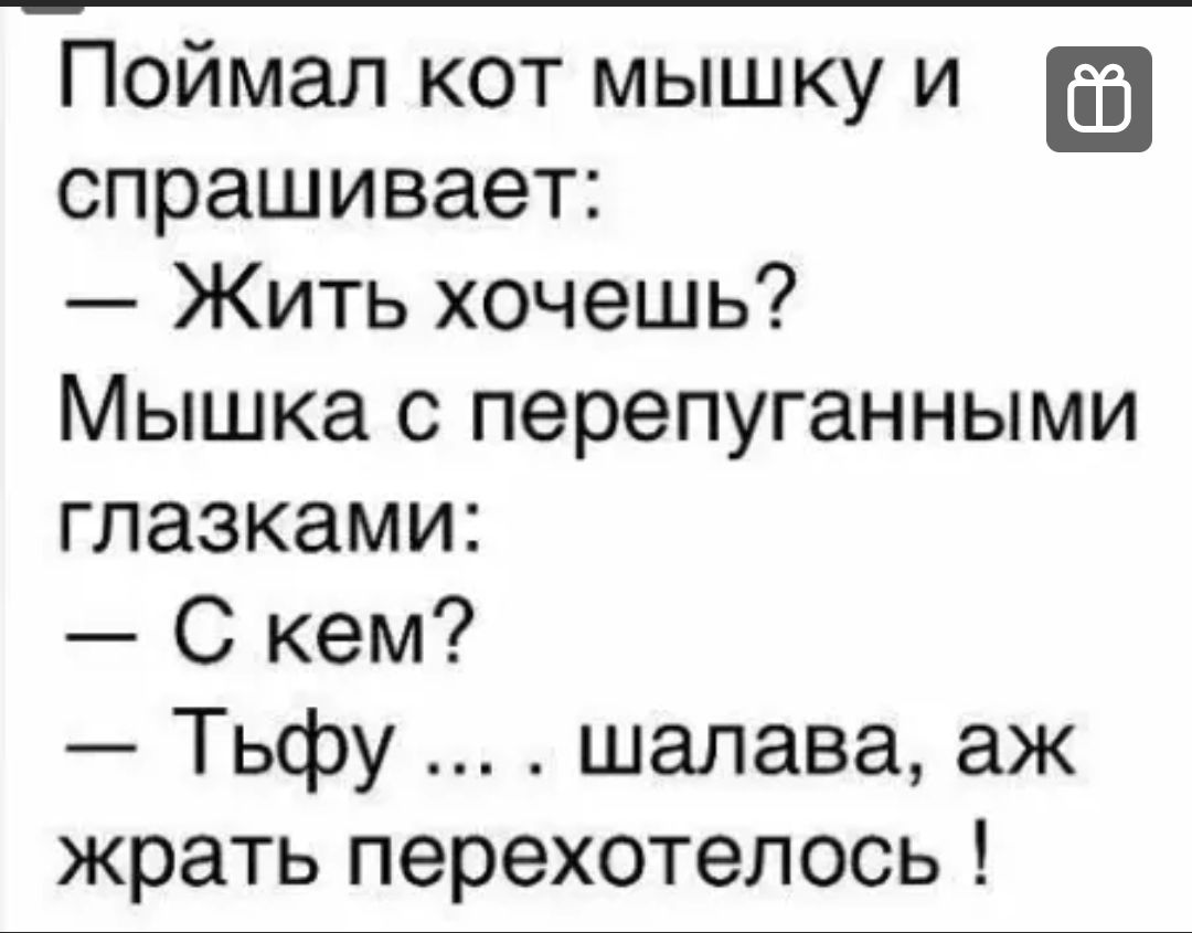 Поймал кот мышку и спрашивает Жить хочешь Мышка с перепуганными глазками С кем Тьфу шалава аж жрать перехотелось