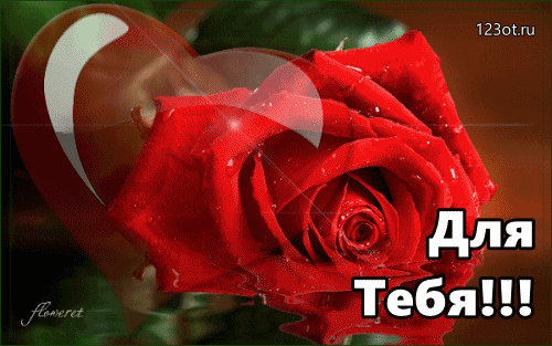 123ыш д Тебя