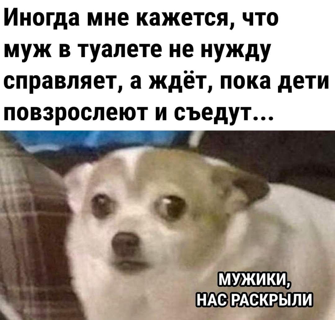 Иногда мне кажется что муж в туалете не нужду справляет а ждёт пока дети повзрослеют и съедут