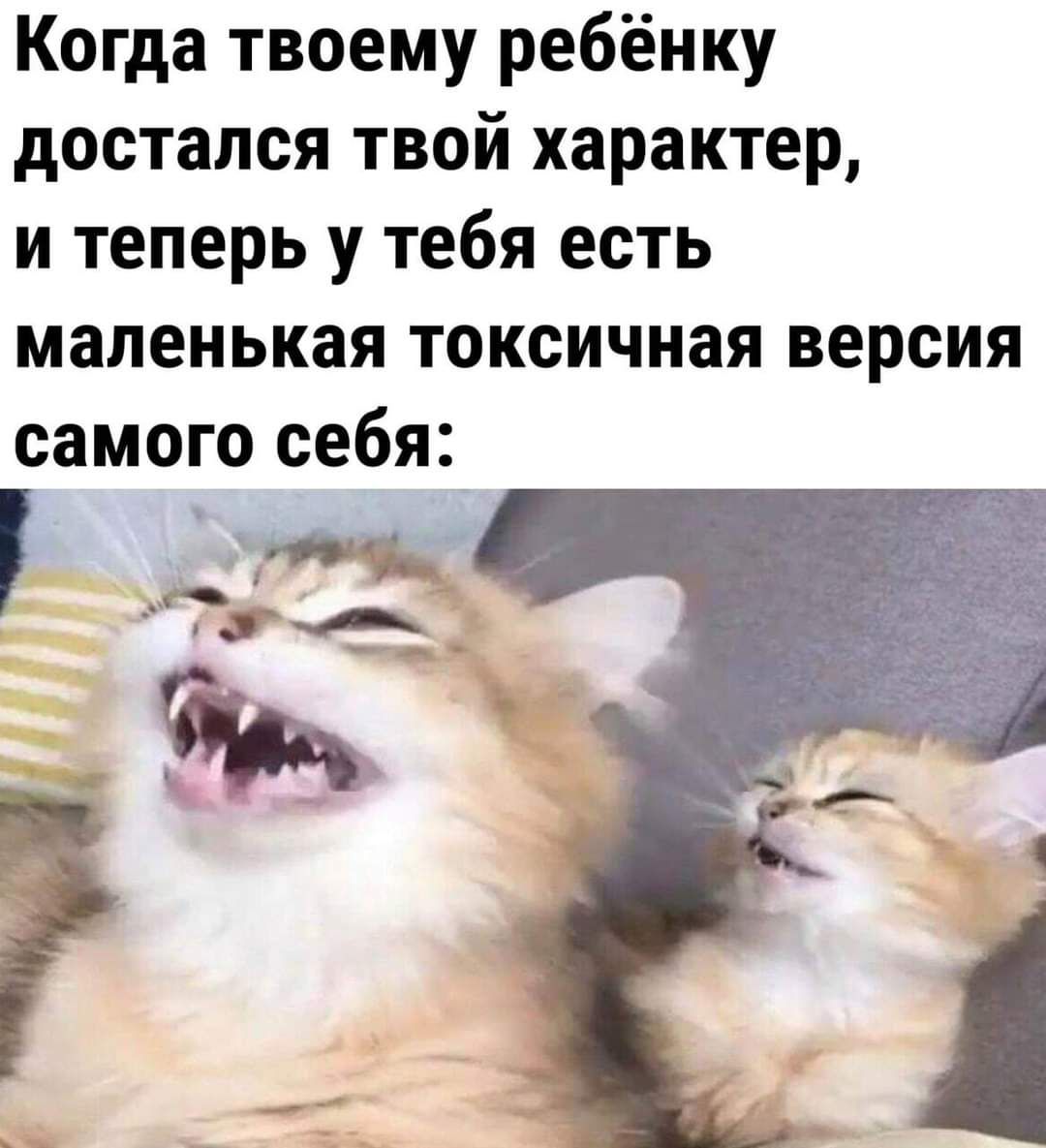 Когда твоему ребёнку достался твой характер и теперь у тебя есть маленькая токсичная версия самого себя