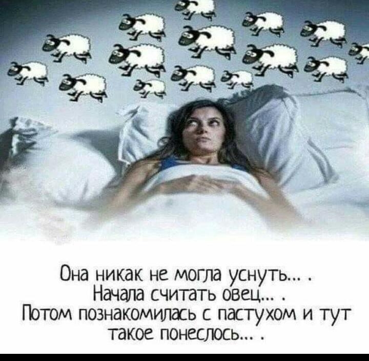 Она никак не могла уснуть Начала считать овец Потом познакомилась с пастухом и тут такое понеслось