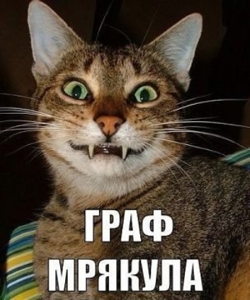 Швянипд
