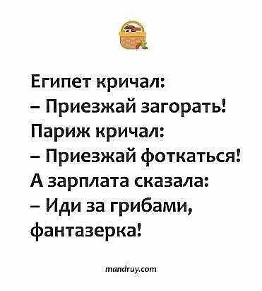 Ё Египет кричал Приезжай загорать Париж кричал Приезжай фоткаться А зарплата сказала Иди за грибами фантазерка лит
