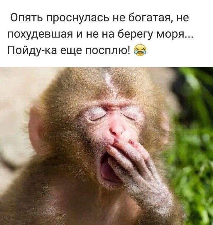 Опять проснулась не богатая не похудевшая и не на берегу моря Пойду ка еще посплю