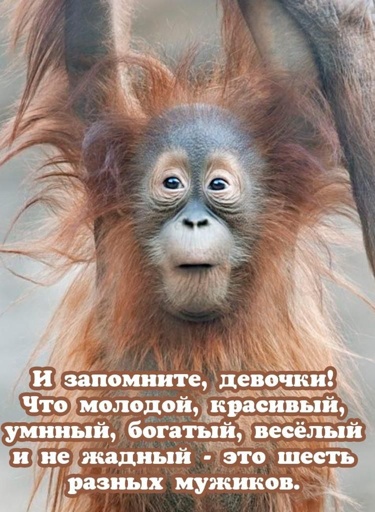 у Ш запомните 3259 Что Молодой красивый Ь жжкждъп умниыи богатыидвеселыи же Ш неіжадный это тот РЗЗПЪХХ мужиков і х
