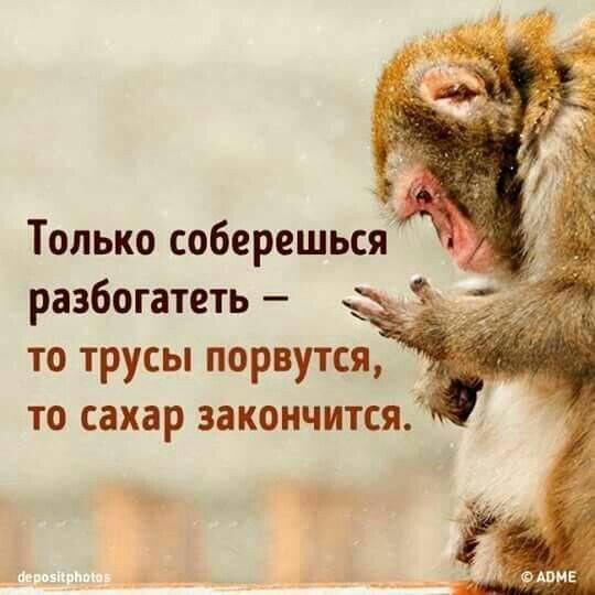 Только соберешьсяа разбогатеть то трусы порвутся то сахар закончится