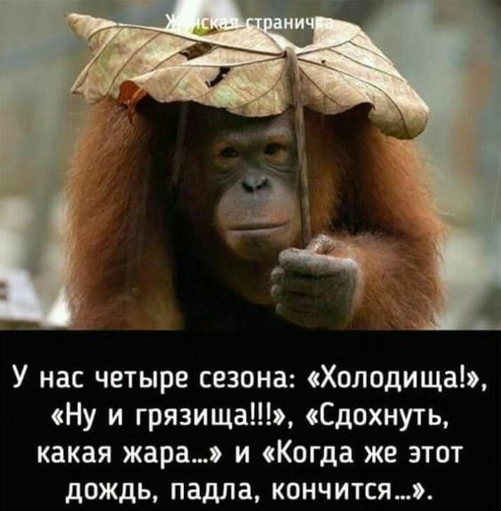 У нас четыре сезона Холодищаь Ну и грязища Сдохнуть какая жара и Когда же этот дождь падла кончитсяэ