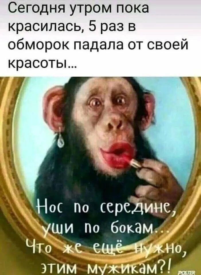 Сегодня утром пока красилась 5 раз в обморок падала от своей красоты