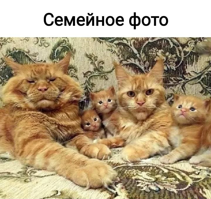 Семейное фото 3 _