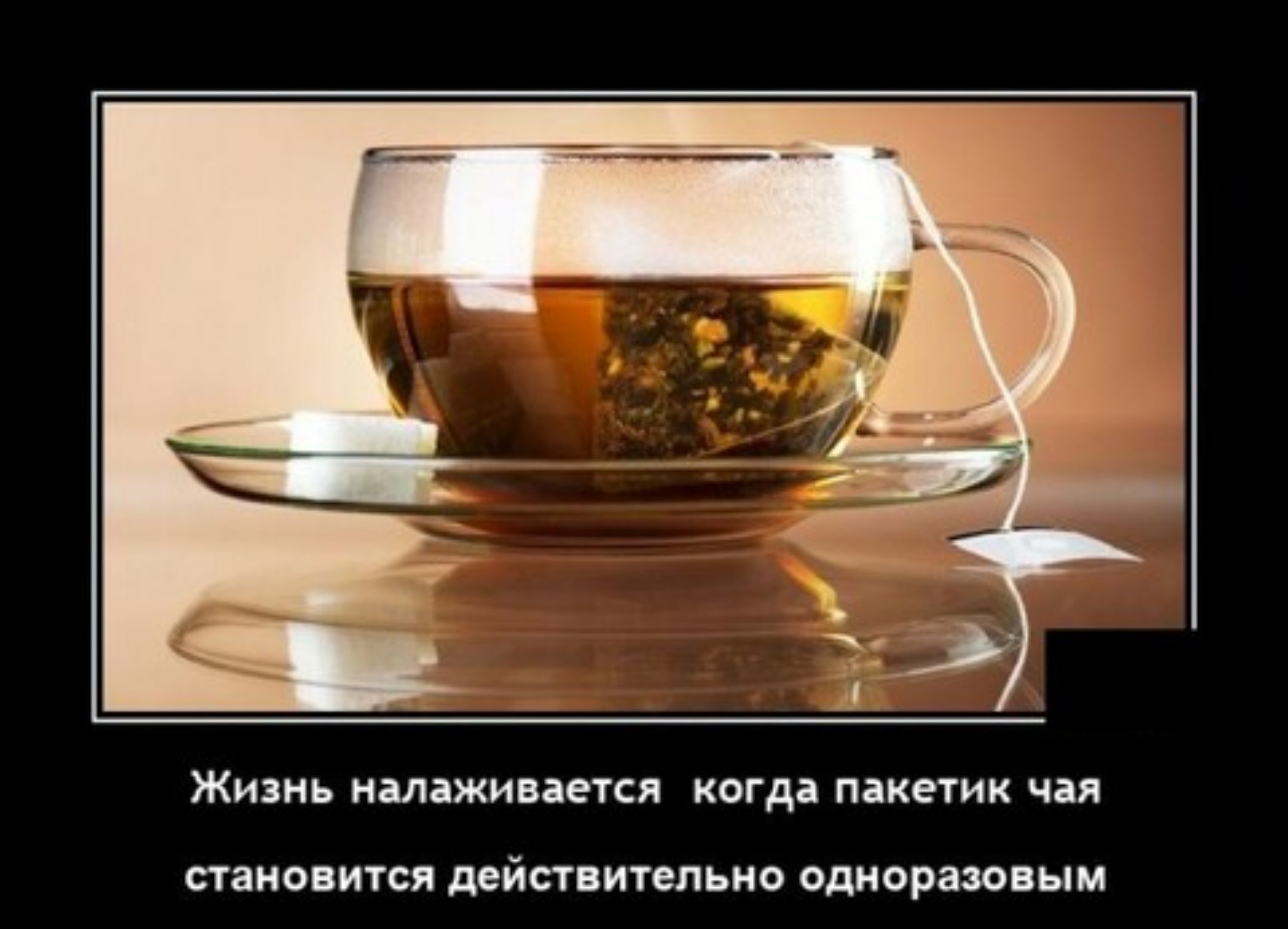 Жизнь имяжипепи когдд и пано ити йа тельца шерпа ым