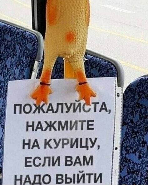 дд ПОЖАЛУЙСТА НАЖМИТЕ НА курицу если вдм НАДО выйти