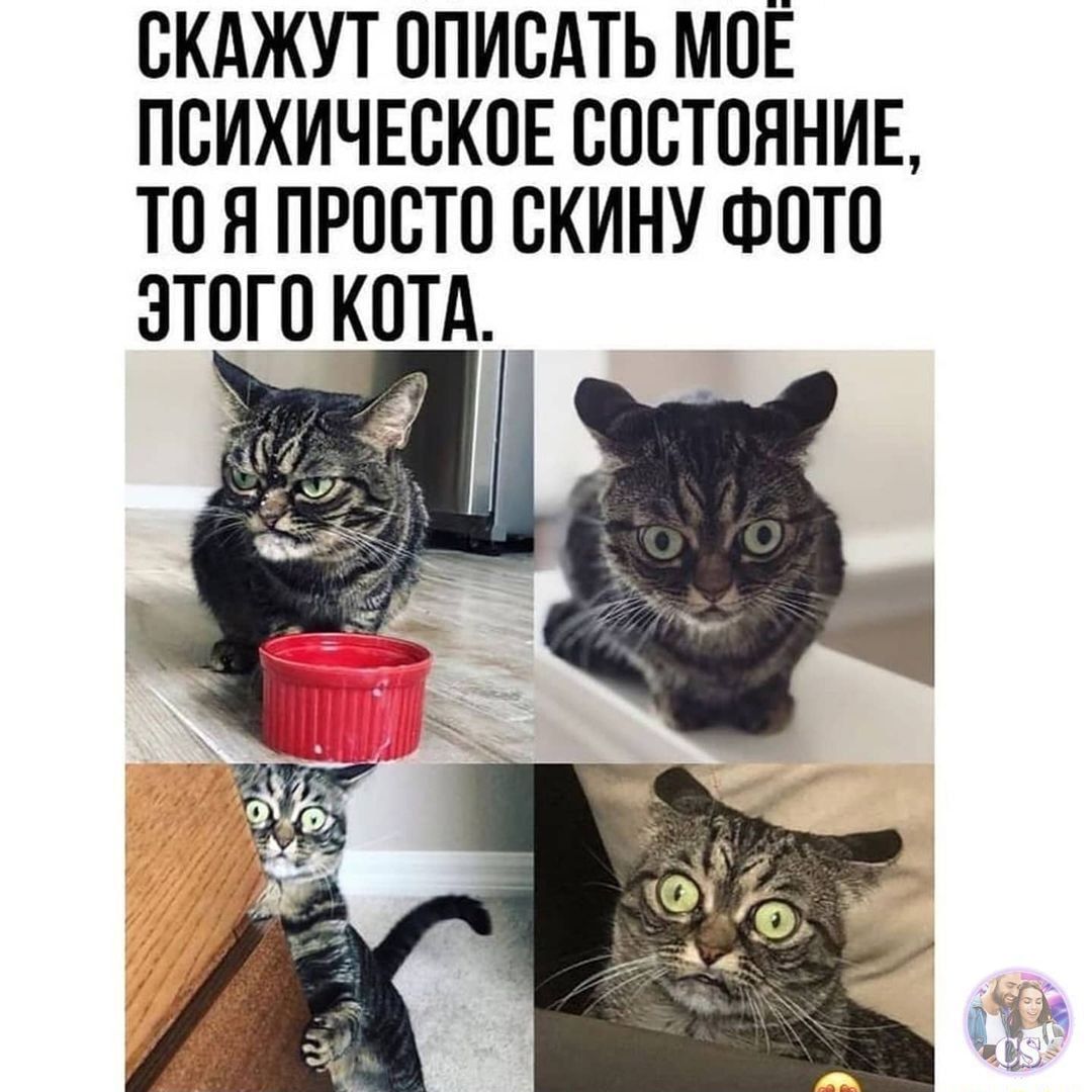 СКАЖУТ ОПИЕАТЬ МОЕ ПБИХИЧЕСКПЕ СОСТОЯНИЕ ТП Я ПРПСТП СКИНУ ФПТП ЗТПГП КОТА