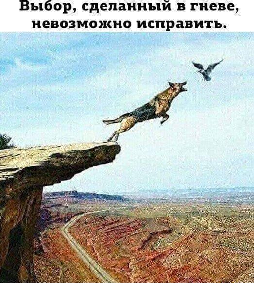 Выбор сделанный в гневе ЕВФЗМОЖНО ИСПРВВИТЪ