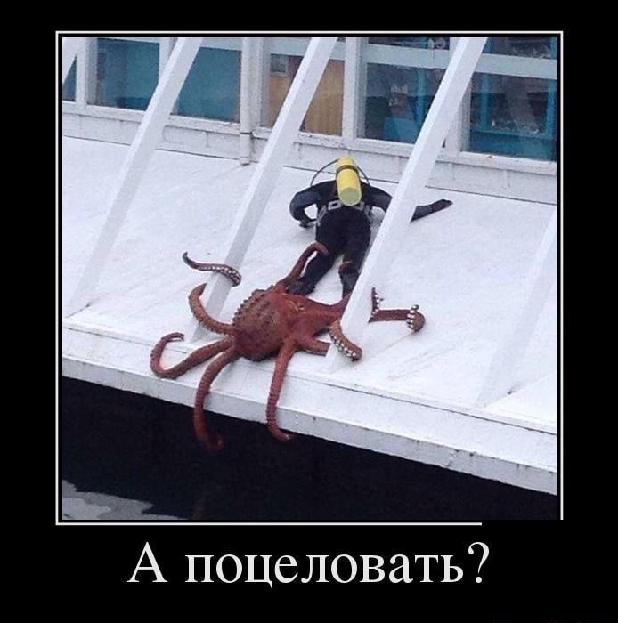 А поцеловать