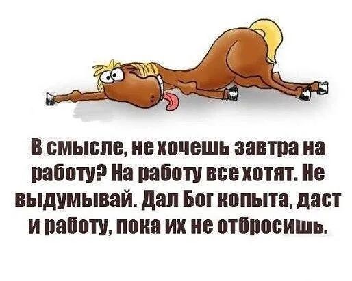 в БМЫШШ Б ХОЧЕШЬ завтра на 111100 На ШШПШ все ШПП Не ВЫДУМЫВВЙ ШШ Б пыта даст И ЗППП пока их не ФТЩЮЁИШЬ