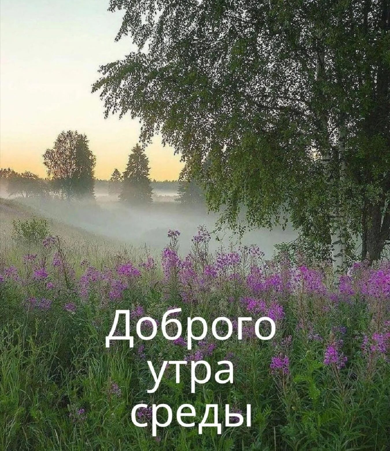 Добрбго утра среды