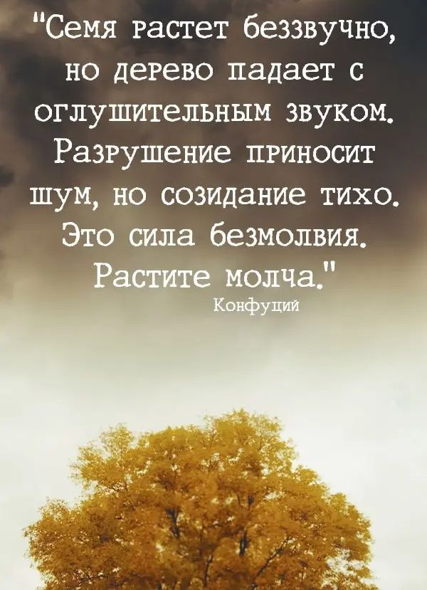 Семя Растет беззвучно но дерево падает с оглушительным звуком Разгушение пгиносит шум но созидание тихо Это сила безмолвия