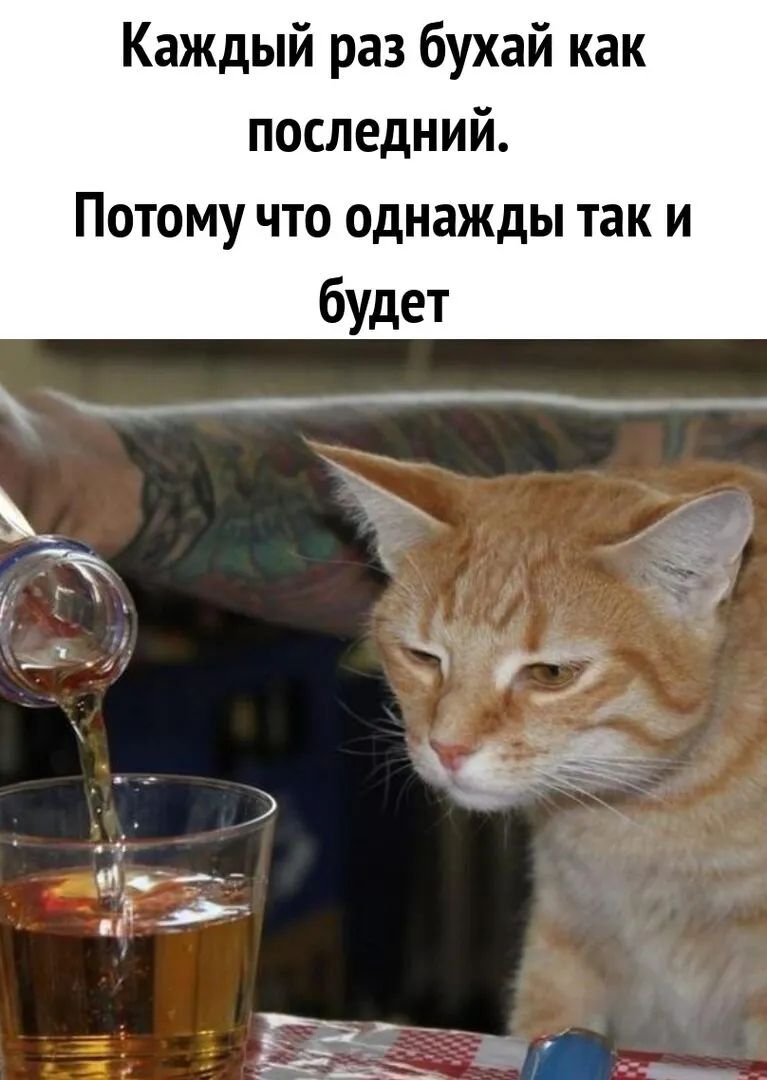 Каждый раз бухай как последний Потому что однажды так и