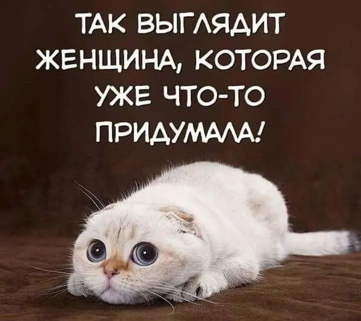 ТАК вымядит ЖЕНЩИНА КОТОРАЯ УЖЕ что то ПРИАУМААА