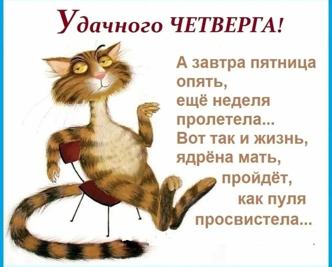 Удачного ЧЕТВЕРГА А завтра пятница опять ещё неделя пролетела Вот так и жизнь ядрёна мать пройдёт как пуля просвистела