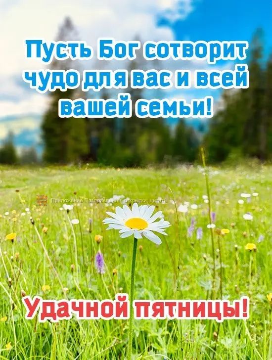 Удачнои ттяегни ы п