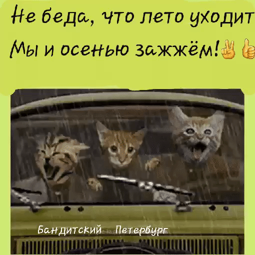 Не беда что лето уХОдит Мы и осенью зажжёмь кд Бандитский Пвтвёдург