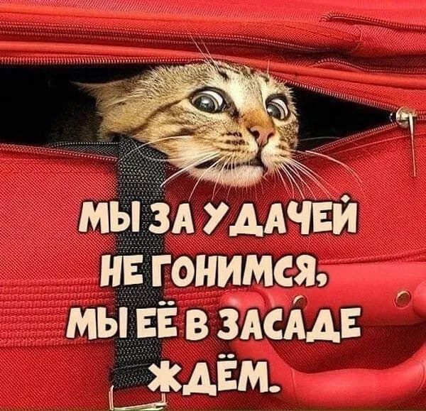 мы зд мини и гонимсгъ мы ЕЁ в да _двм м