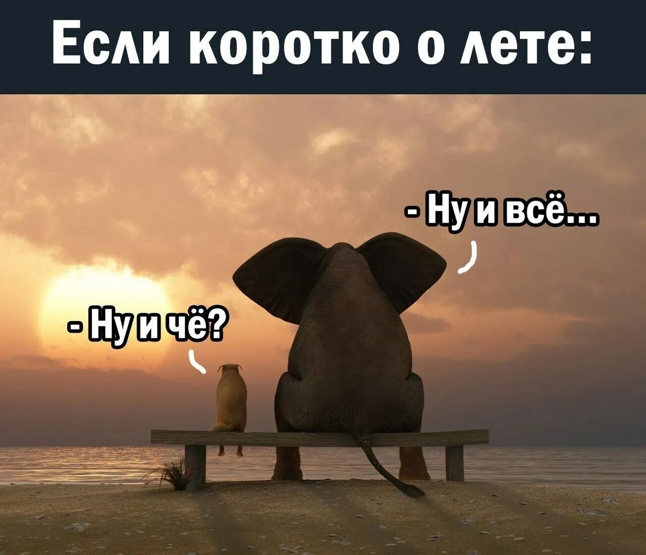 Если коротко о лете