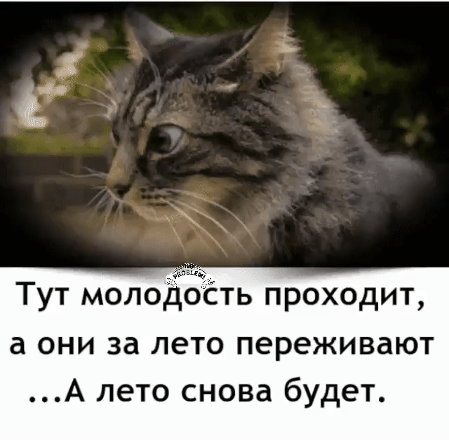 Тут молодость проходит а они за лето переживают А лето снова будет