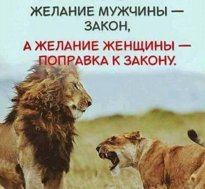 ЖЕЛАНИЕ МУЖЧИНЫ ЗАКОН А ЖЕЛАНИЕ ЖЕНЩИНЫ ПОПРАВКА К ЗАКОНУ ЁЁ