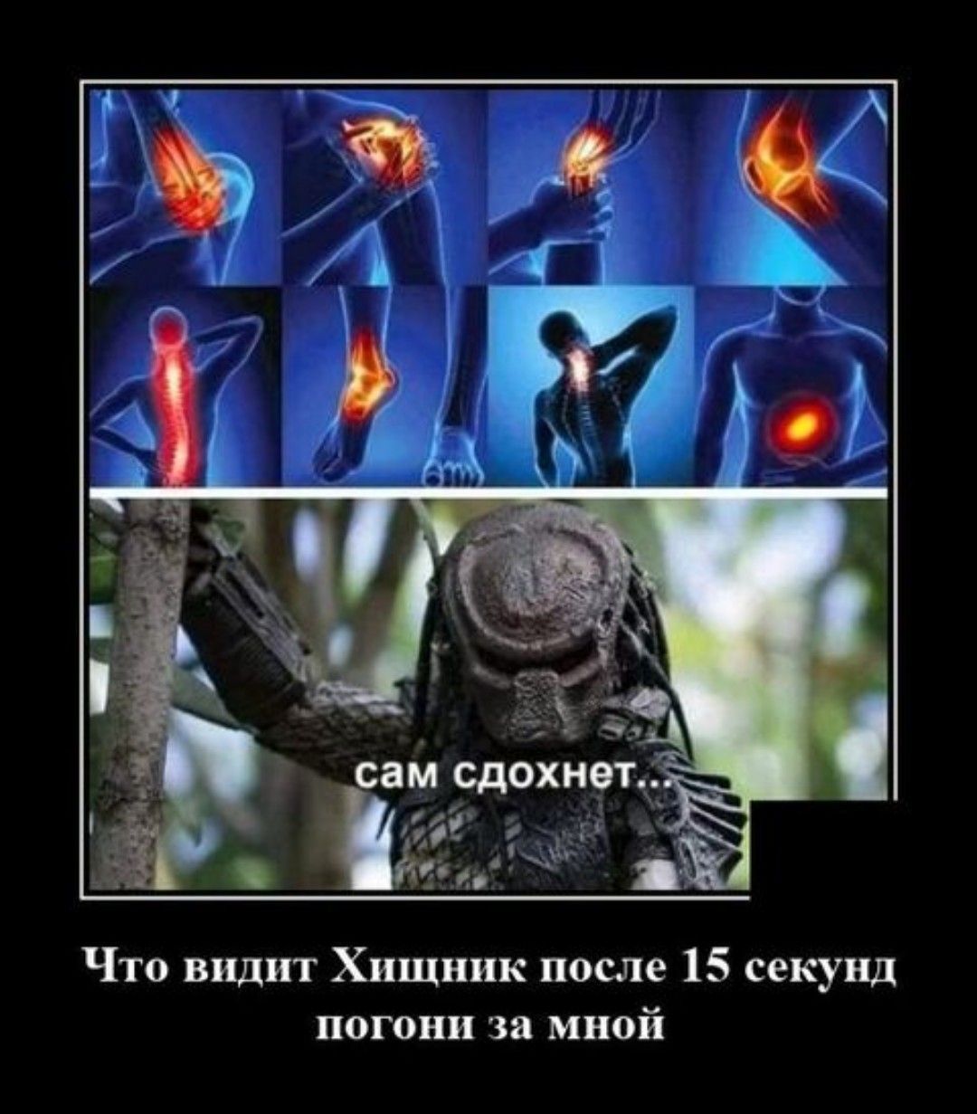Что видит Хищник после 15 секунд погони за мной